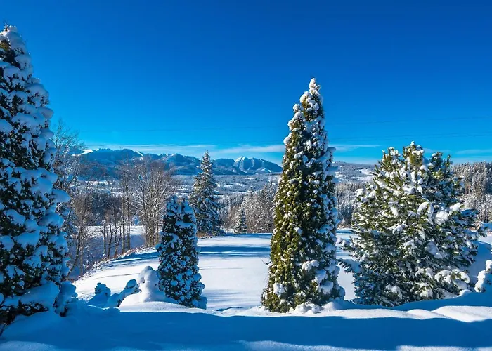 Kierpcoweczka * קושצ'ליסקו